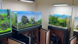 Nature Aquarium Gallery - Equipment Tour