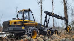 NO CLUE What I'm Doing! Operating a Logging Harvester in Michigan