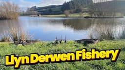 Llyn Derwen Fishery, North Wales, Carp Fishing