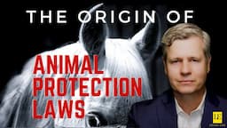 Animal Rights Laws - The Origins of Laws Protecting Animals in the USA and the UK