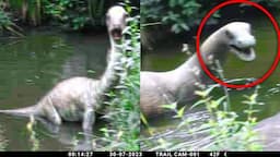 Animals Believed To Be Extinct Caught Alive On Camera