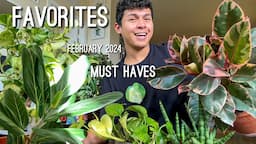 Top Favorite Houseplants of February 2024!