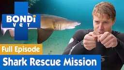 🦈 Dr Chris Brown's Shark Rescue Mission | FULL EPISODE | S7E15 | Bondi Vet