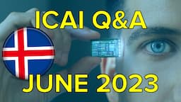 ICAI Icelandic Center for Artificial Intelligence Q&A - June 2023 (business, leisure, robots, govt)