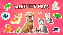 15 Best Pets for Kids | Pets Showcase