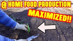 Simple Ways to MAXIMIZE a Gardens Growing Potential to GROW MORE FOOD at Home!