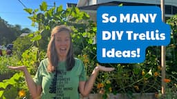 8 Easy DIY Trellis Ideas From Other Gardeners