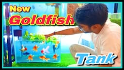 😍😍 Setting up NEW GOLDFISH AQUARIUM 😍😍