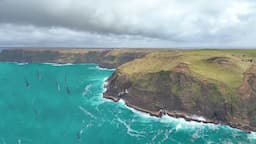 A Chatham Island Fishing Adventure (chasing big fish down the beach)