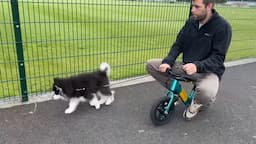 Little Girl Learns To Ride Bike Without Stabilisers For The First Time! It's Electric!!