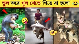 প্রাণীদের অস্থির মজার কাণ্ড দেখুন 🤣 FUNNIEST ANIMAL MOMENTS CAUGHT ON CAMERA PART- 84