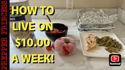 EXTREME BUDGET $10.00 WEEKLY GROCERY BUDGET