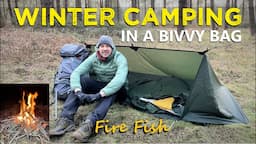 WINTER CAMPING ALONE IN A BIVVY BAG UNDER A TARP IN A HUGE FOREST! Fire Cooked Fish Dish, Camping UK