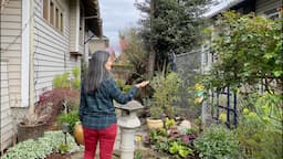 April Front Yard Garden Tour | Best Perennials Every Garden Should Have!