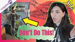 WHO Handles CROCODILES Like This!? 😵 Pet YouTuber Reacts to Animals on Craigslist | Emzotic