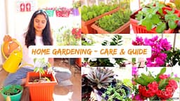 Home Gardening Tips & Guide For Beginners || All About My Plants || Growing Veggies In Balcony ||