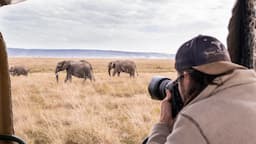 Using a wide angle lens on safari - Elephants - WILDLIFE PHOTOGRAPHY ON SAFARI