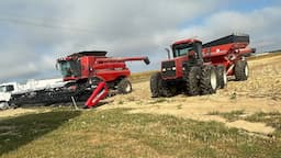 NEW Bins & Bean Harvest