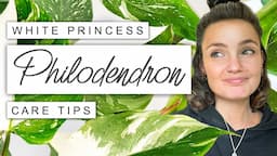 White Princess Philodendron Care TIPS + TRICKS 🌱  Philodendron White Princess Survival Guide 💚