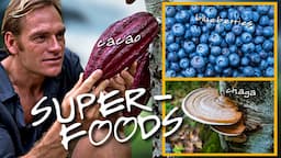 Darin Olien's TOP 10 SUPERFOODS in his Plant-Based Diet (Immune Boosting, Vegan, & Delicious)