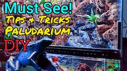 Bioactive Paludarium Vivarium Tips & Tricks DIY Naturalistic Build