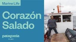 Corazón Salado: A Journey to Protect the Kawésqar’s Ancestral Waters | Patagonia Films