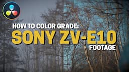 How To: Color Grade Sony ZV-E10 Footage Like A PRO!