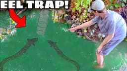 Fish Trap CATCHES Freshwater EELS!! (NEW PET)