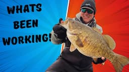 Baits that have been catching some HUGE Smallmouth Bass this year!