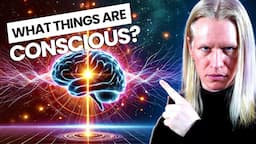 Which Things Are Actually Conscious? Scientists are Clueless