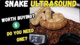 Snake Ultrasound - Is it worth purchasing? Do you REALLY need one? How and When to Ultrasound.