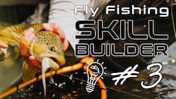 Fly Fishing Skill Builder #3 | Choosing Streamer Line, Streamer Retrieves & Strip Setting