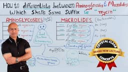 Aminoglycosides vs Macrolides | Antibiotics | Pharmacology