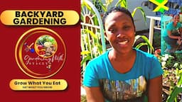 Backyard Gardening Jamaica PORTMORE With Gardening With Stacey 🇯🇲 #gardening #backyardfarming