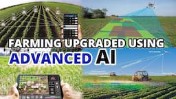 Revolutionizing Agriculture: China Uses Advanced AI in Farming