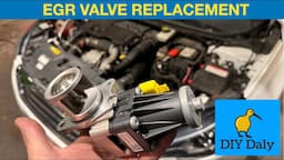 Peugeot 308 1.6 HDI DV6C EGR Valve replacement P0409 P12B4 P0490