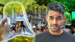 Unexpected Shopping Ho Gaya in Aquarium Fish Pet Market !