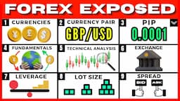 Forex Trading For Beginners (FREE FULL COURSE)