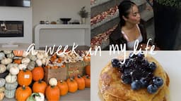 weekly vlog: chill fall days at home, clean with me, cook with me. | Maria Bethany