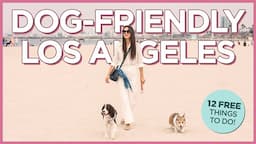 12 Fun and Free Things To Do in Los Angeles With Your Dog