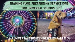 Training Vlog: Prepping my Service Dog for Universal Studios! | Universal Studios Mini Series Pt 1!✨