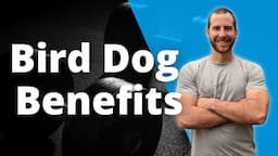 Bird Dog Benefits | What Muscles does the Bird Dog Train?