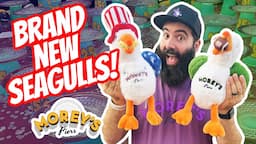 Winning New Sunny the Seagulls at Morey's Piers!