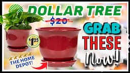 🔥 DOLLAR TREE HAUL Worthy FINDS That You MUST Grab NOW! New NAME BRANDS & Never Seen Before ARRIVALS