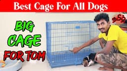 New Big Cage For Tom - Setup & Review