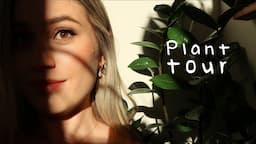 Plant Tour + Q & A 🌱🌿