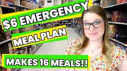 $6 EXTREME EMERGENCY BUDGET CHALLENGE | BREAKFAST, LUNCH & DINNER | MAKES 16 MEALS