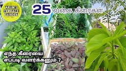 மாடியில் 25 வகையான கீரை வளர்ப்பு முறை 🌿 tips for growing greens 🌱 keerai valarpu terrace garden idea