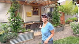 Backyard Pergola Rejuvenation + Planting 7 Awesome Plants For Sun To Shade Gardening