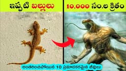 Top 10 Extinct animals | creatures before dinosaurs | interesting facts in Telugu | bmc facts